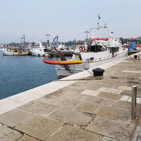 Zino Umag