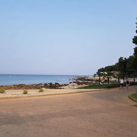 Zino Umag